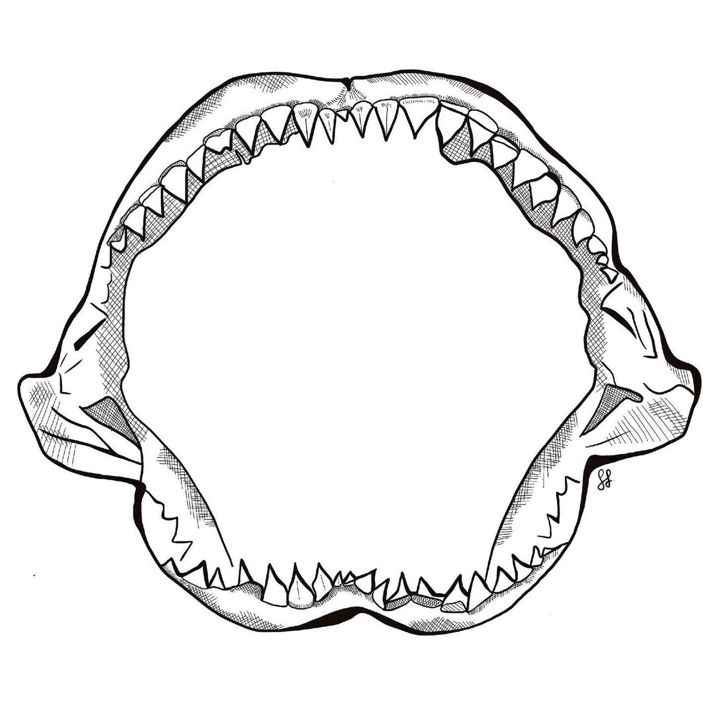 Clear Decal Sticker Art - Shark Jaw